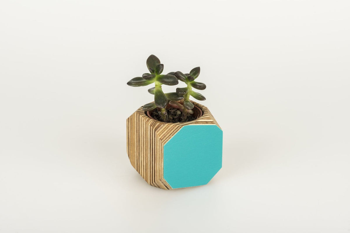 Mini Geo Vessel Mini Geo Vessels - Turquoise homeware shops bristol gift shops bristol Priormade