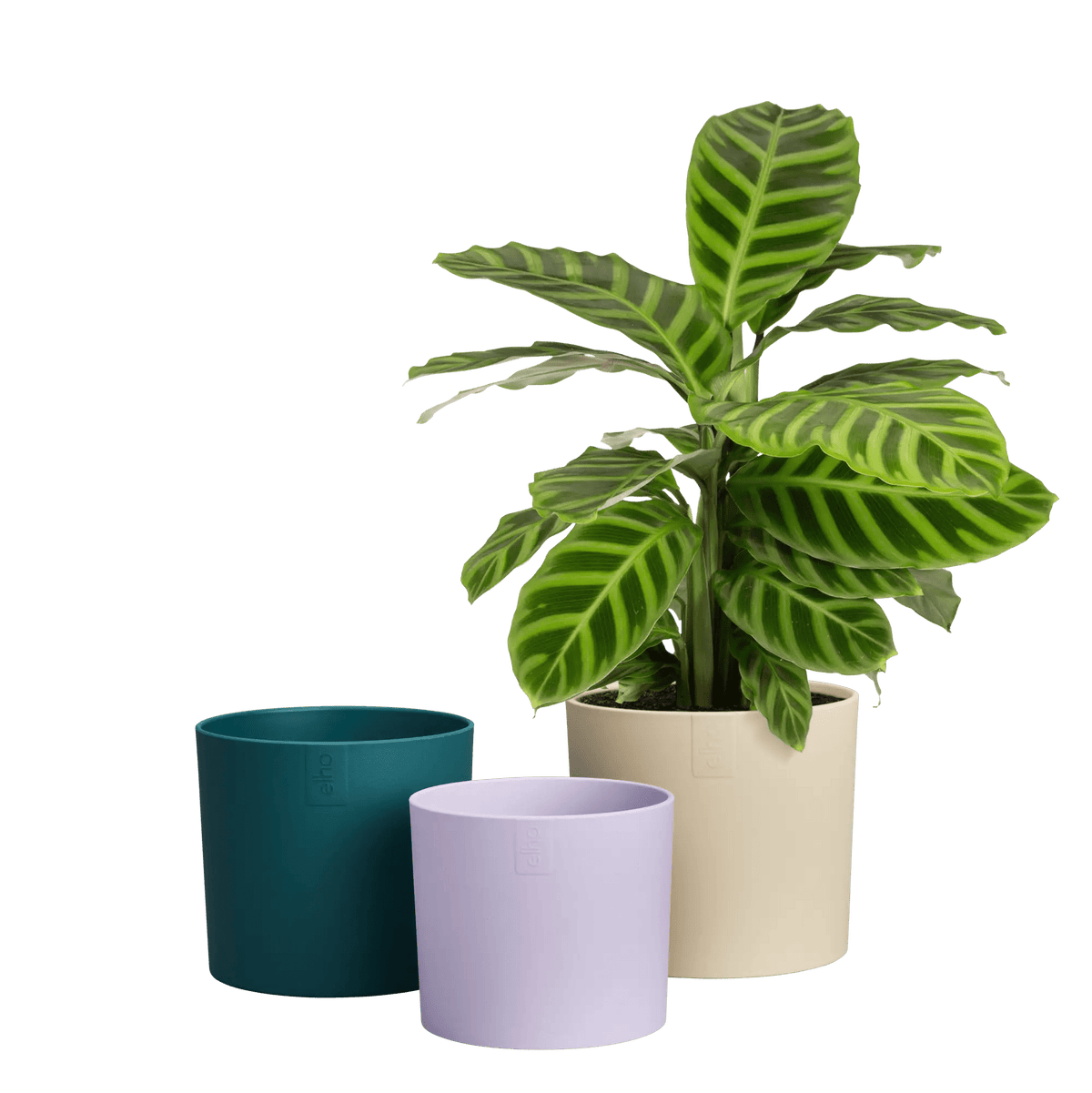 Recycled Plastic Plant Pot - Lex Pott Collection (set of 3) 'Velvet Cream' homeware shops bristol gift shops bristol Elho