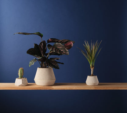 Plant Pots Plant Pot 'Cupcake' - Jesmonite and Coffee Grounds (two sizes) homeware shops bristol gift shops bristol Sarah Christensen Design