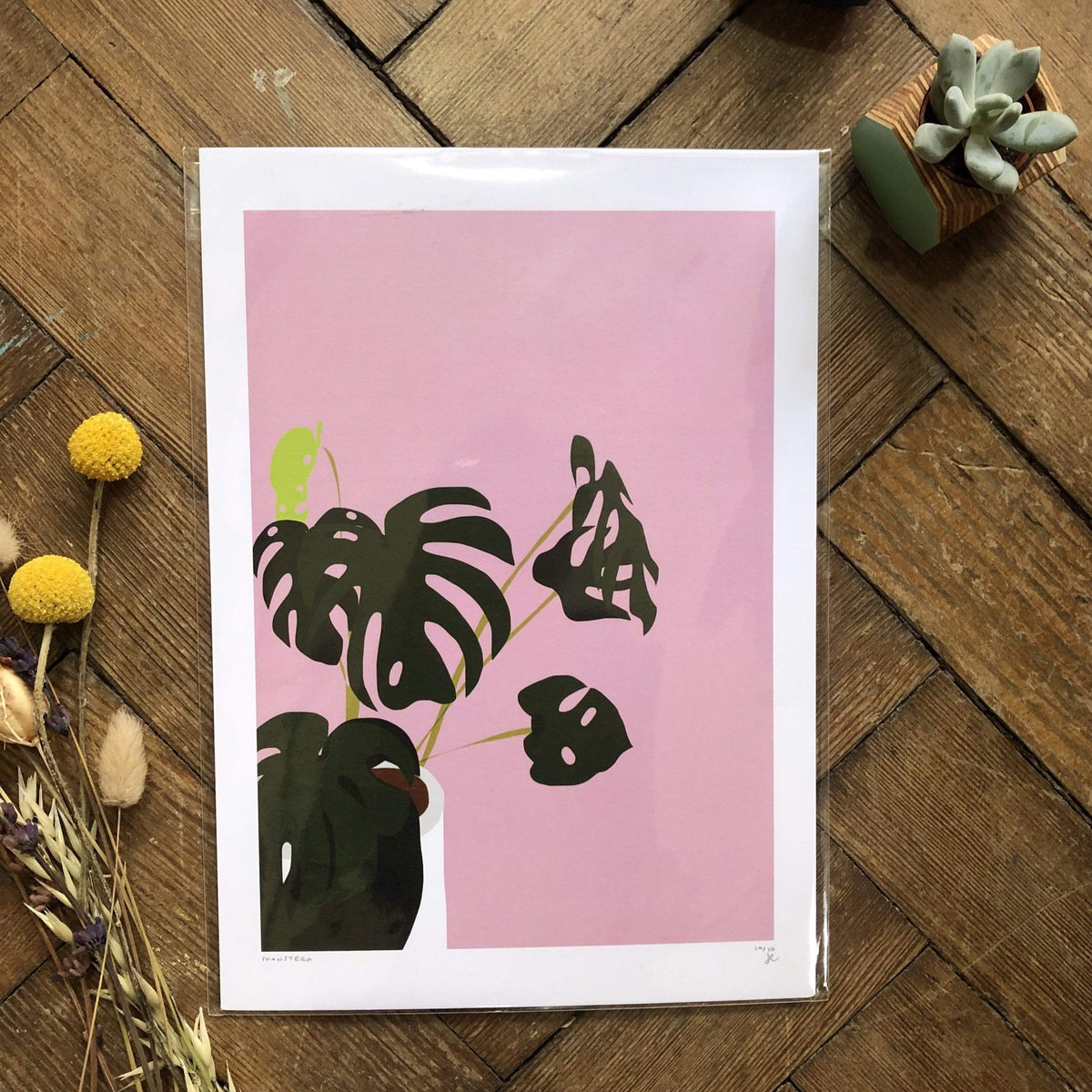 Prints A4  (21 x 29.7cm) Print Only (No Frame or Hanger) Pink Monstera Print (various sizes) homeware shops bristol gift shops bristol Do It Later Illustration