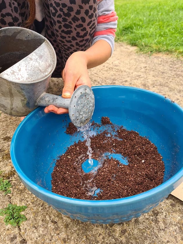 Making Kits Veggie Bomb Kit homeware shops bristol gift shops bristol Nature Nurture Kids